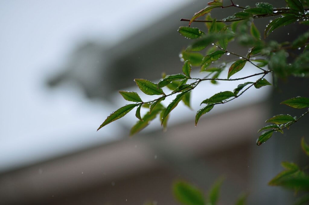 雨の季節のチェックポイント【屋根編】