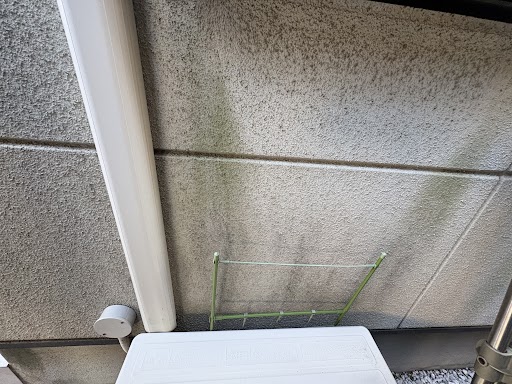 苔2