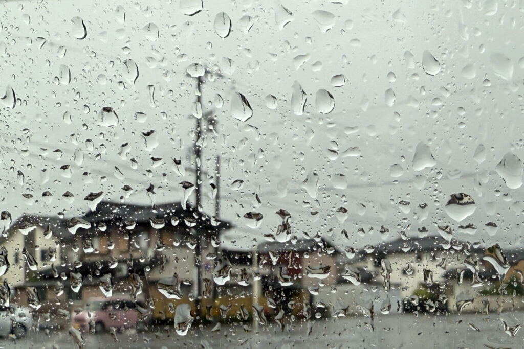 雨家